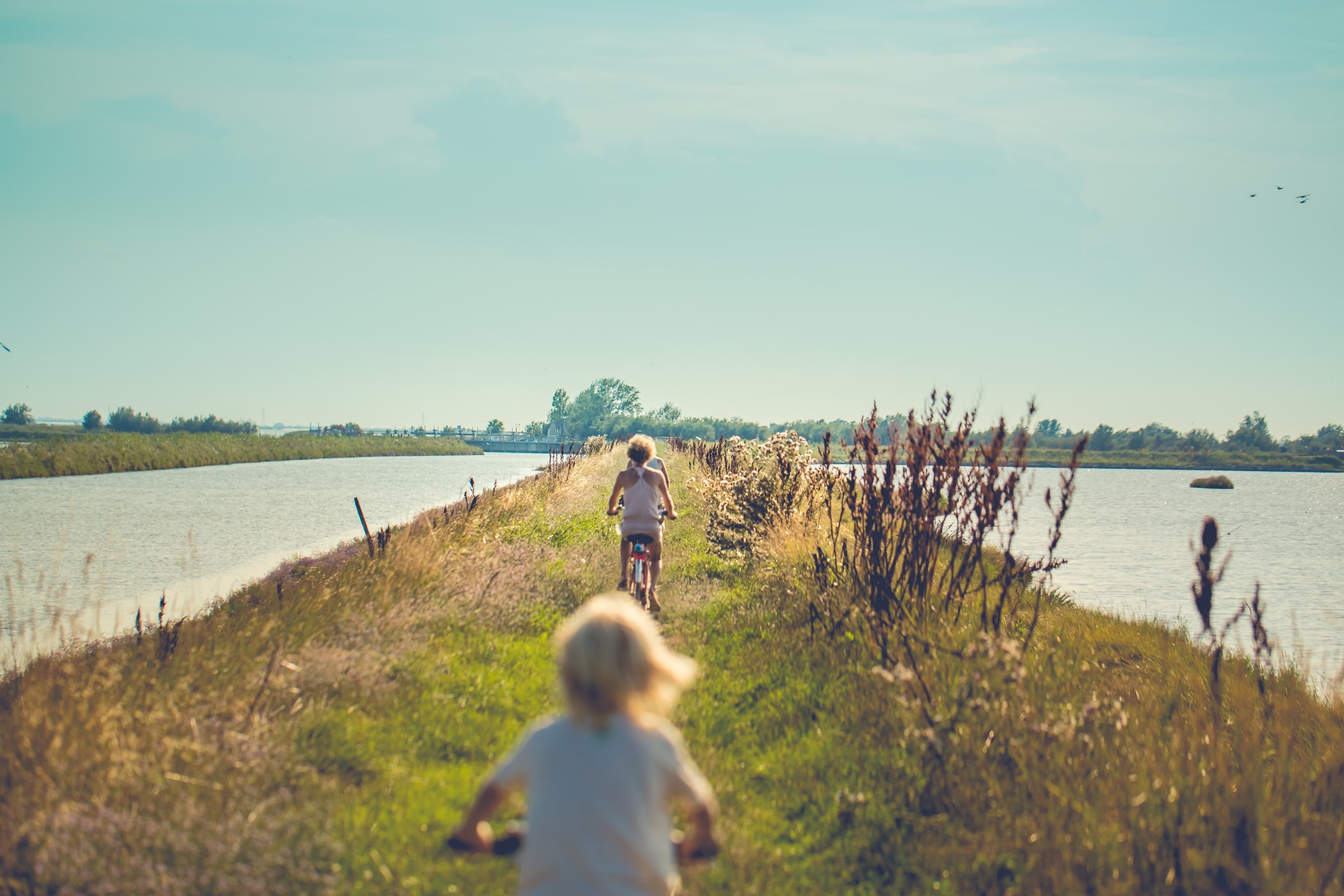 percorsi in bicicletta lidi di comacchio