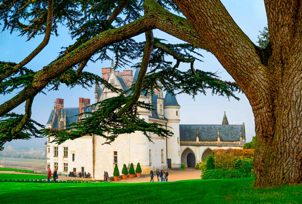 castello-reale-amboise-francia-loira