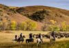 south-dakota-bisonti-buffalo-roundup