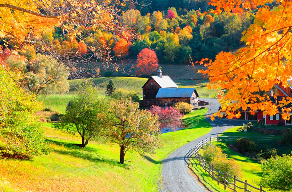 viaggio-in-america-vermont-campagna-autunno